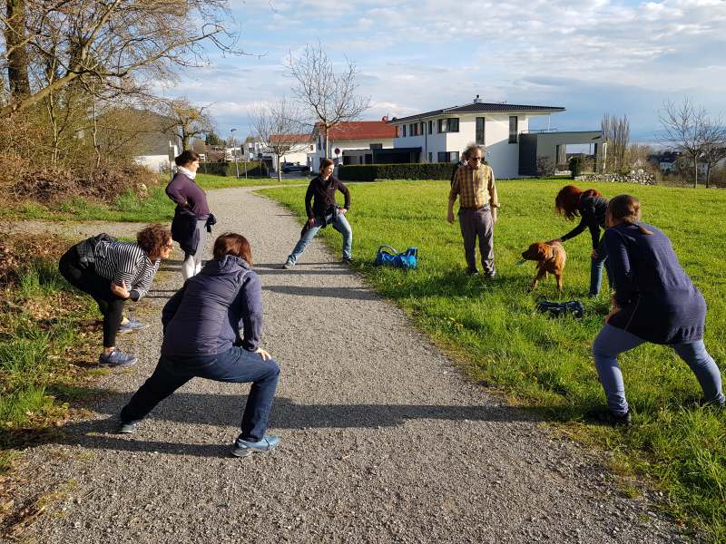 DAV-Gesundheitswanderung Hepbacher-Leimbacher Ried